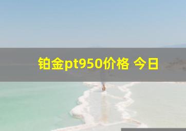 铂金pt950价格 今日